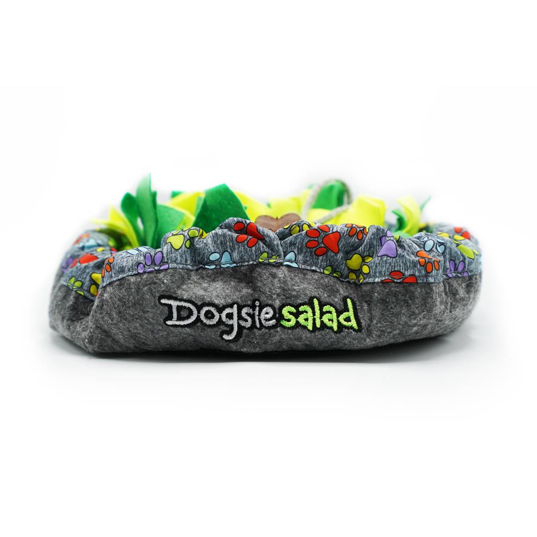Dogsie Salad hlavni foto