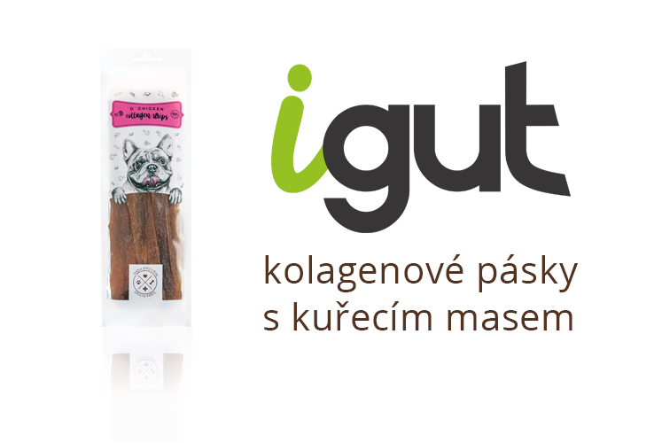 igut pasky a logo