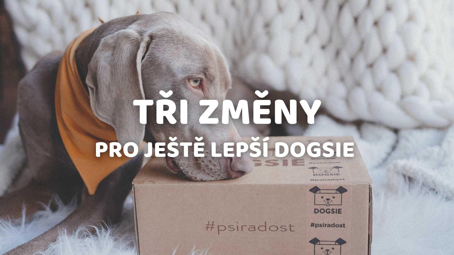 Změny 2022